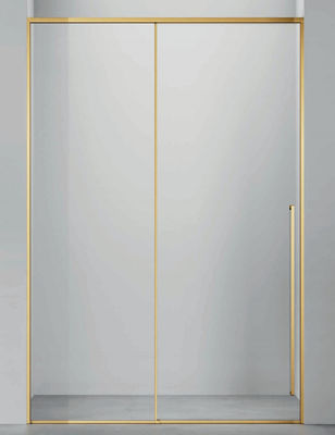 Roestvrij staal, schuifdeur, minimalistisch ontwerp, badkamer douche kamer